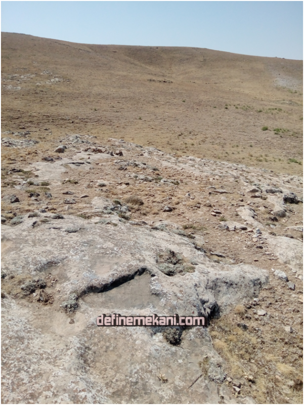 1613957712954 (1).png