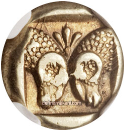 1614177545520.png 1614177545520.png