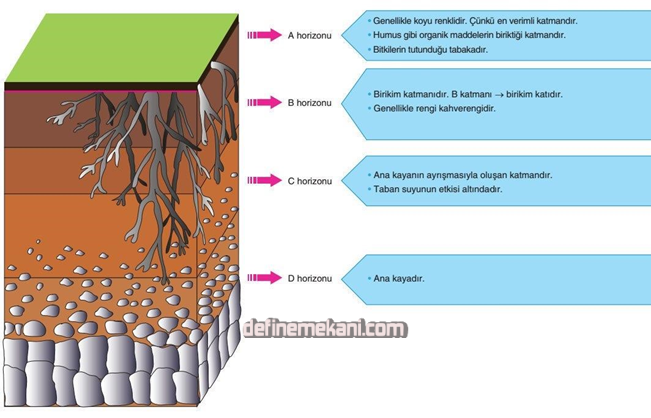 1655201960267.png 1655201960267.png