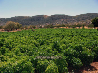 1680788654535.png 1680788654535.png