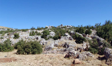 1680789018105.png 1680789018105.png