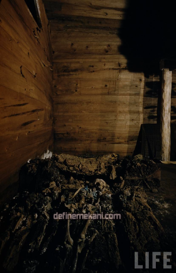 1680970209149.png 1680970209149.png