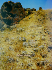 1681077071583.png 1681077071583.png