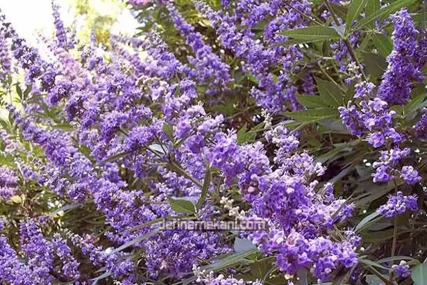 1693916661021.png 1693916661021.png