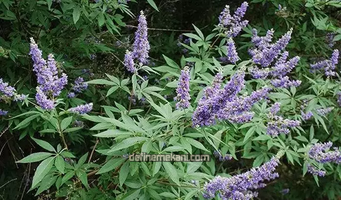 1693916688134.png 1693916688134.png