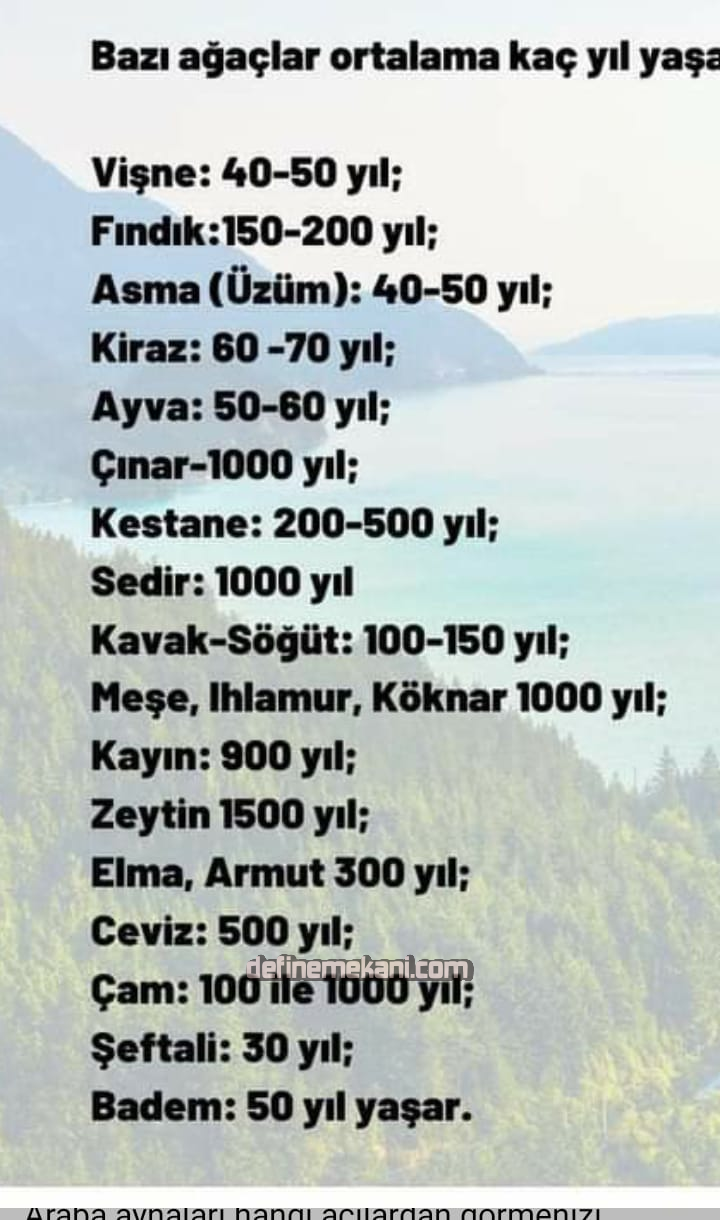 1709041282156.png 1709041282156.png