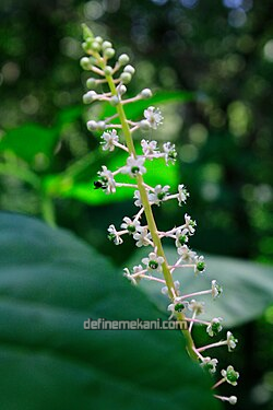 1759736913468.png 1759736913468.png