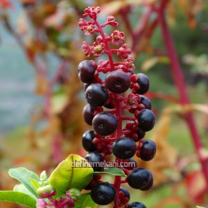 1759736961900.png 1759736961900.png