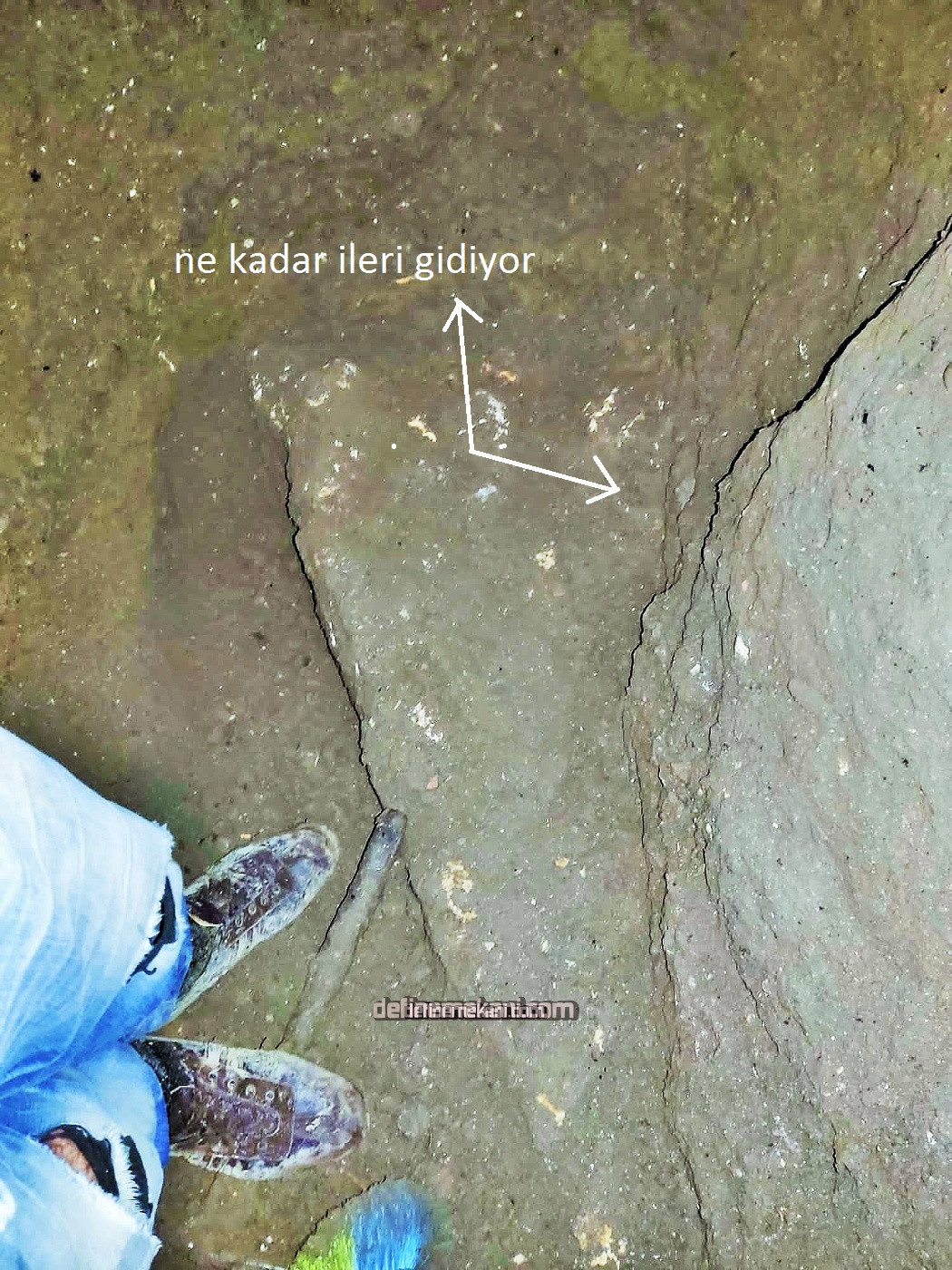 357E6EDA-F24E-4038-906E-FCC9E9ABAB31 (3).jpeg