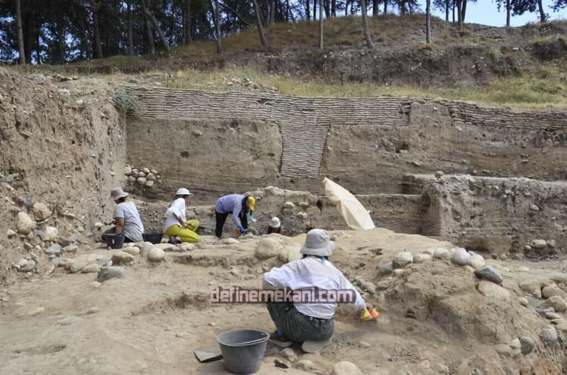 DB37CB56-E959-452B-9019-9D77F1162D22.jpeg DB37CB56-E959-452B-9019-9D77F1162D22.jpeg