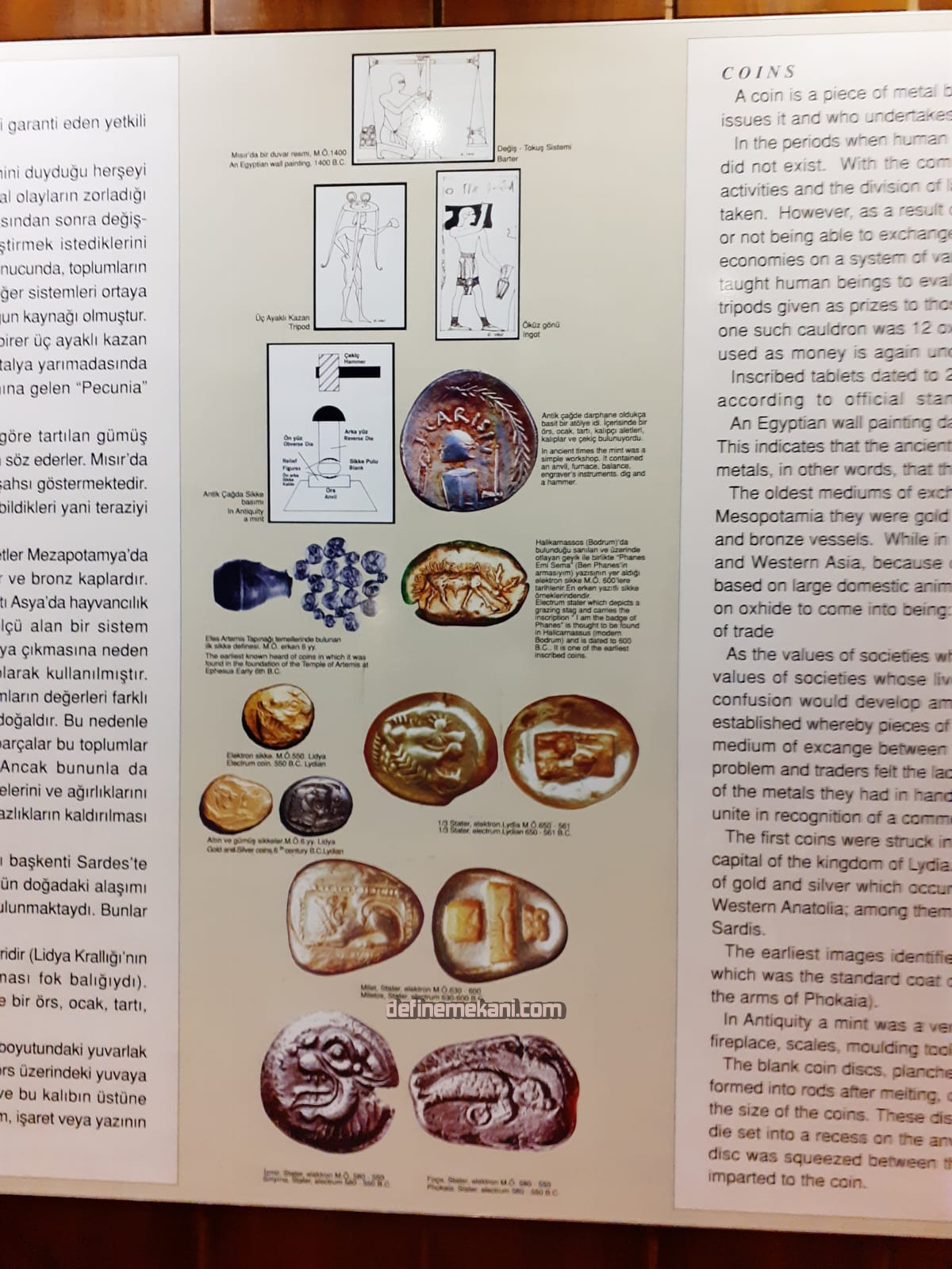 db6962bc-4d76-4fef-8aa8-d13a355760dc.jpg db6962bc-4d76-4fef-8aa8-d13a355760dc.jpg