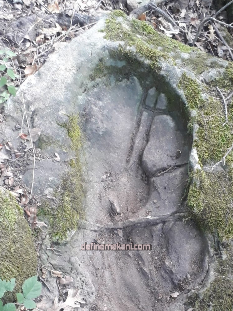 IMG-20250807-WA0046.jpg IMG-20250807-WA0046.jpg