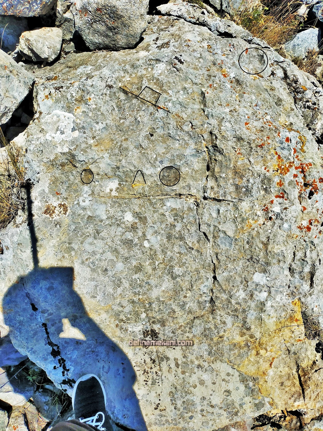 IMG20210822122543 (3).jpg