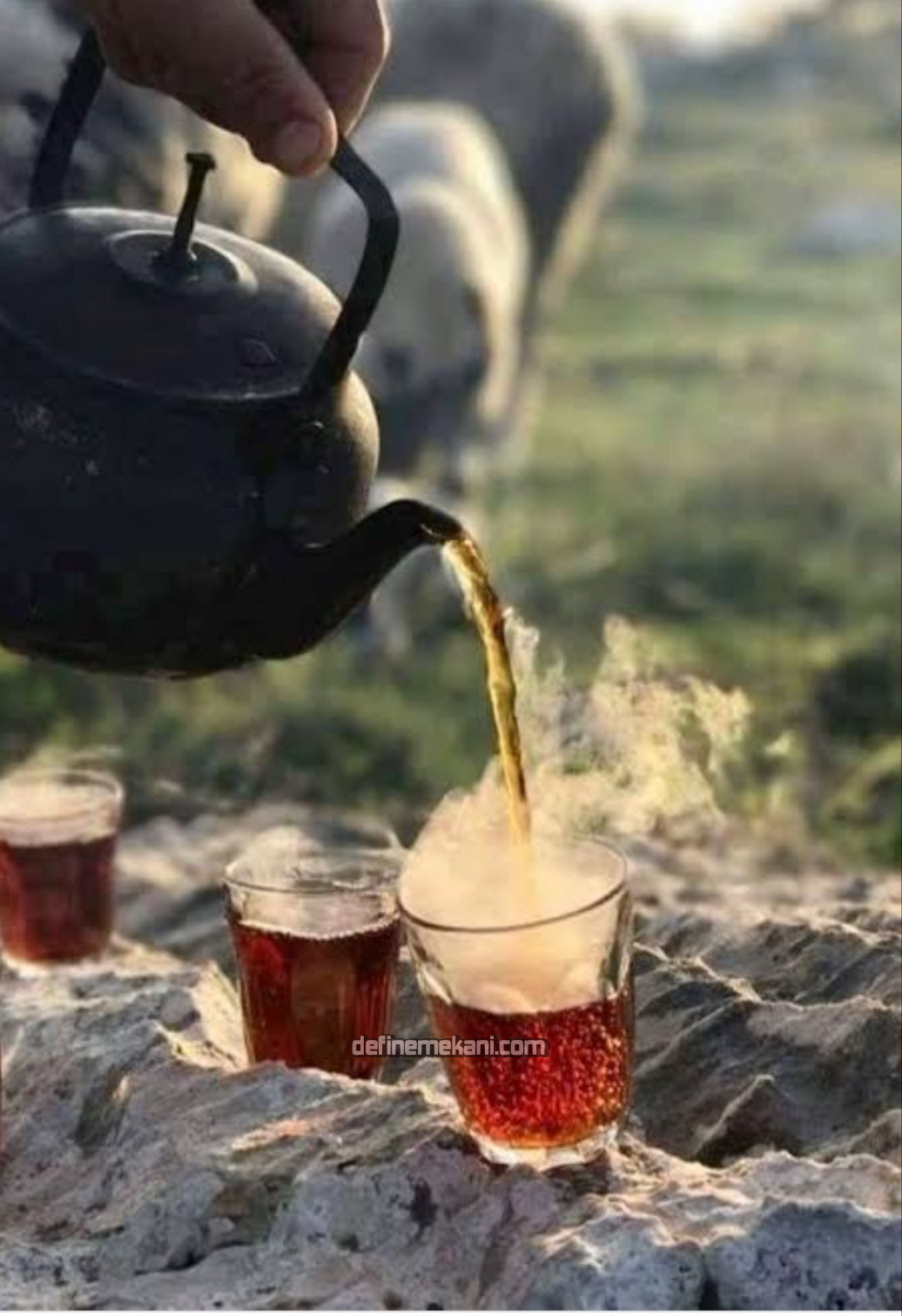 IMG_20210904_215811.jpg IMG_20210904_215811.jpg