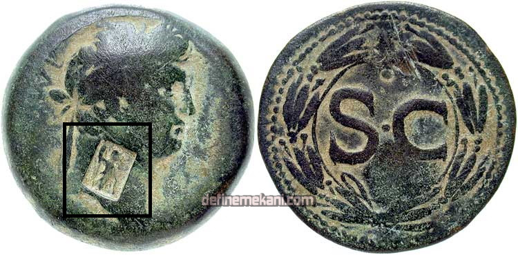 RPC_4318_5 4.jpg RPC_4318_5 4.jpg