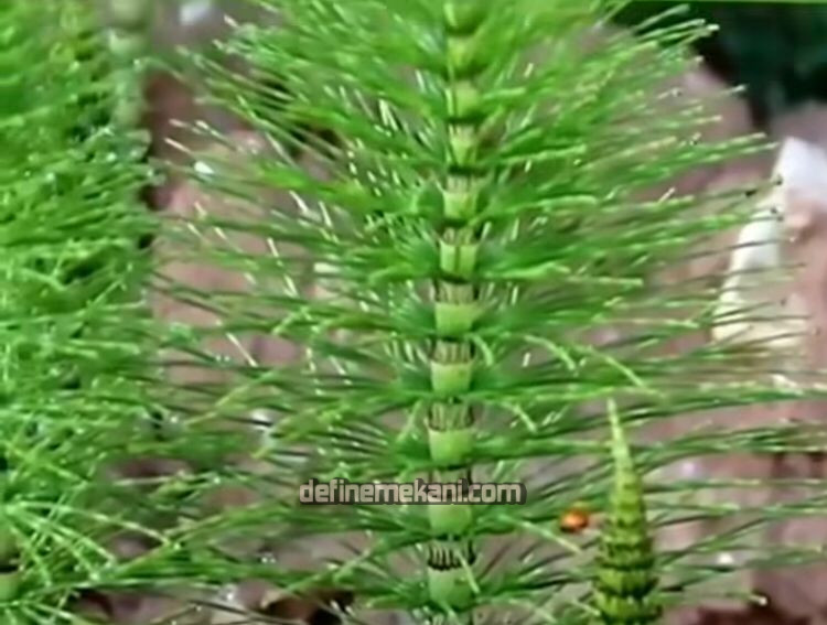 WhatsApp Image 2023-12-04 at 00.06.19.jpeg WhatsApp Image 2023-12-04 at 00.06.19.jpeg