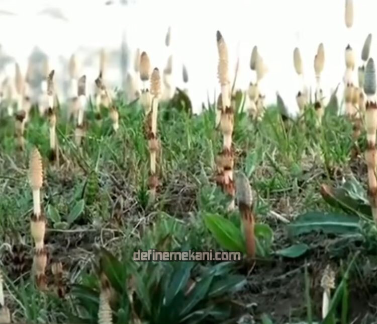 WhatsApp Image 2023-12-04 at 00.06.20 (1).jpeg WhatsApp Image 2023-12-04 at 00.06.20 (1).jpeg