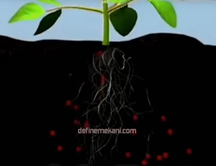 WhatsApp Image 2023-12-04 at 00.06.20 (2).jpeg WhatsApp Image 2023-12-04 at 00.06.20 (2).jpeg