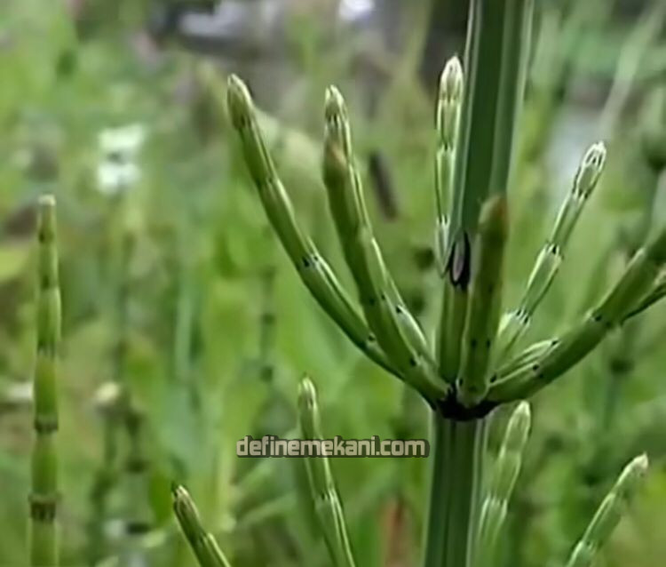 WhatsApp Image 2023-12-04 at 00.06.20.jpeg WhatsApp Image 2023-12-04 at 00.06.20.jpeg