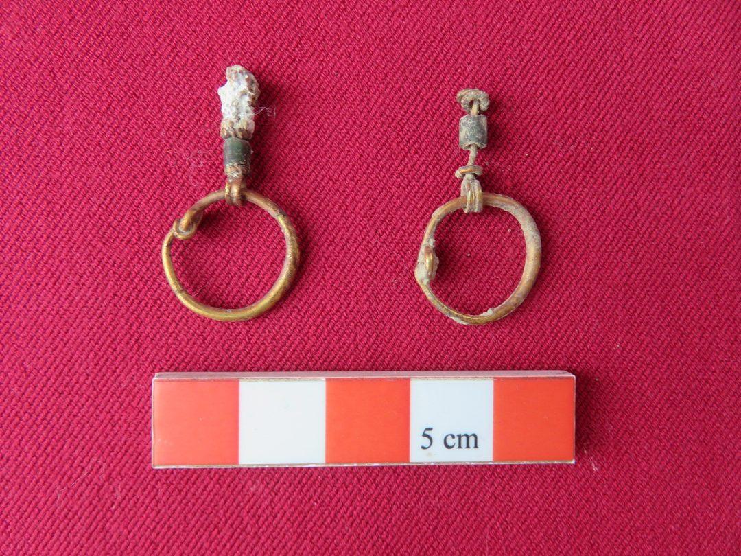 SON 100 YILIN EN BÜYÜK KEŞFİ SON 100 YILIN EN BÜYÜK KEŞFİ