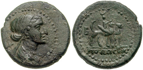 cleopatra-phoenicia-orthosia.jpg