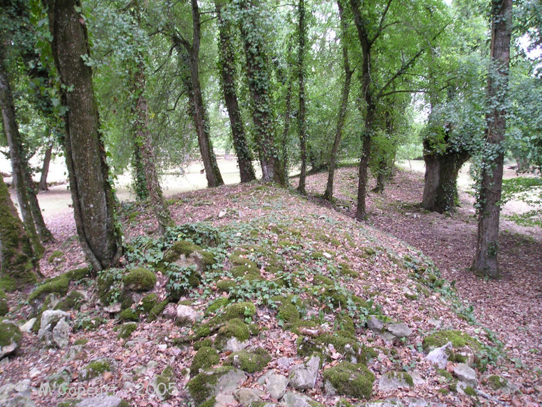 aP7190226_Tumulus_D_Bougon.JPG