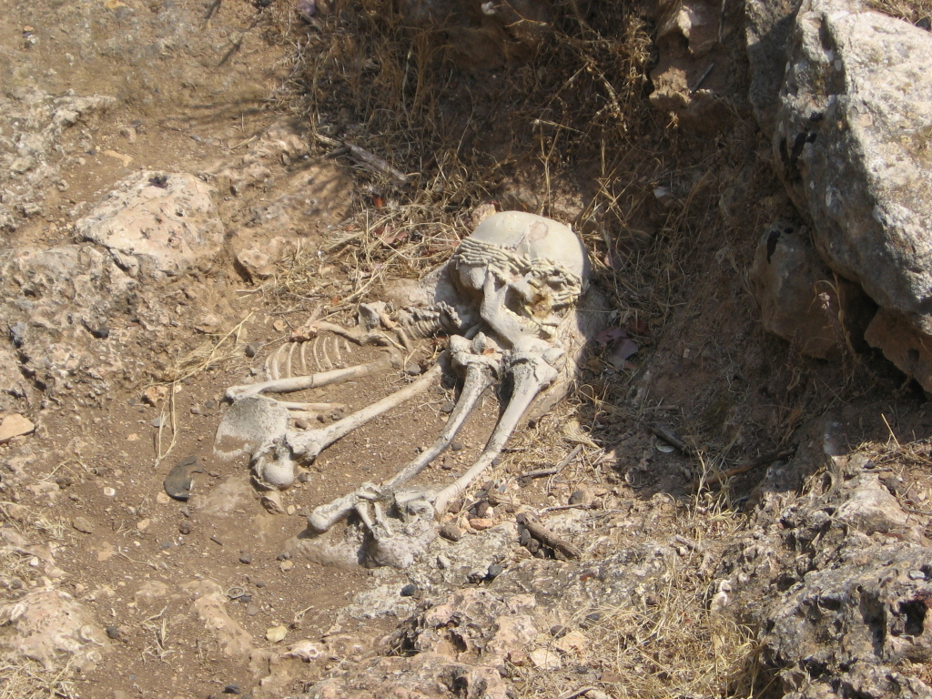 natufian-burial-elwad.jpg