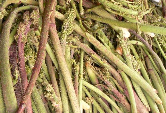 Afrodizyak etkisi yaratır Afrodizyak etkisi yaratır