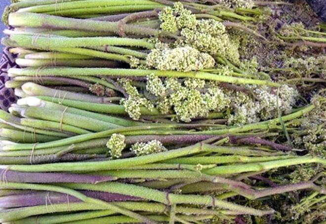 Dikkat! Zehirleyebilir Dikkat! Zehirleyebilir