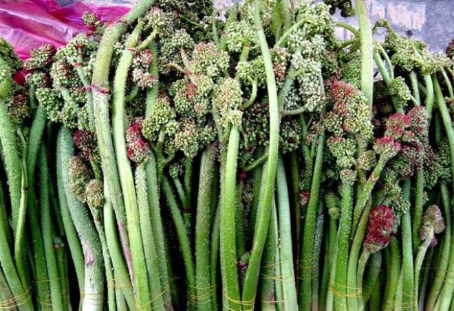 Hazmı kolaylaştırır Hazmı kolaylaştırır