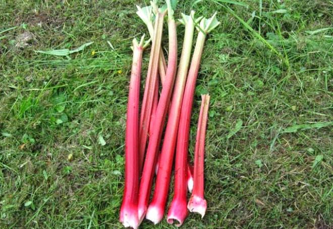 Nasıl tüketilir? Nasıl tüketilir?