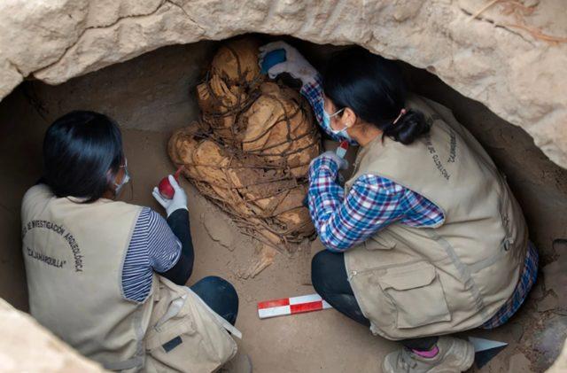 Screenshot_11 Screenshot_11